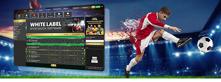 White-Label Sportsbook Development